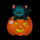 Pumpkin Kitty - Kids Youth T-Shirt